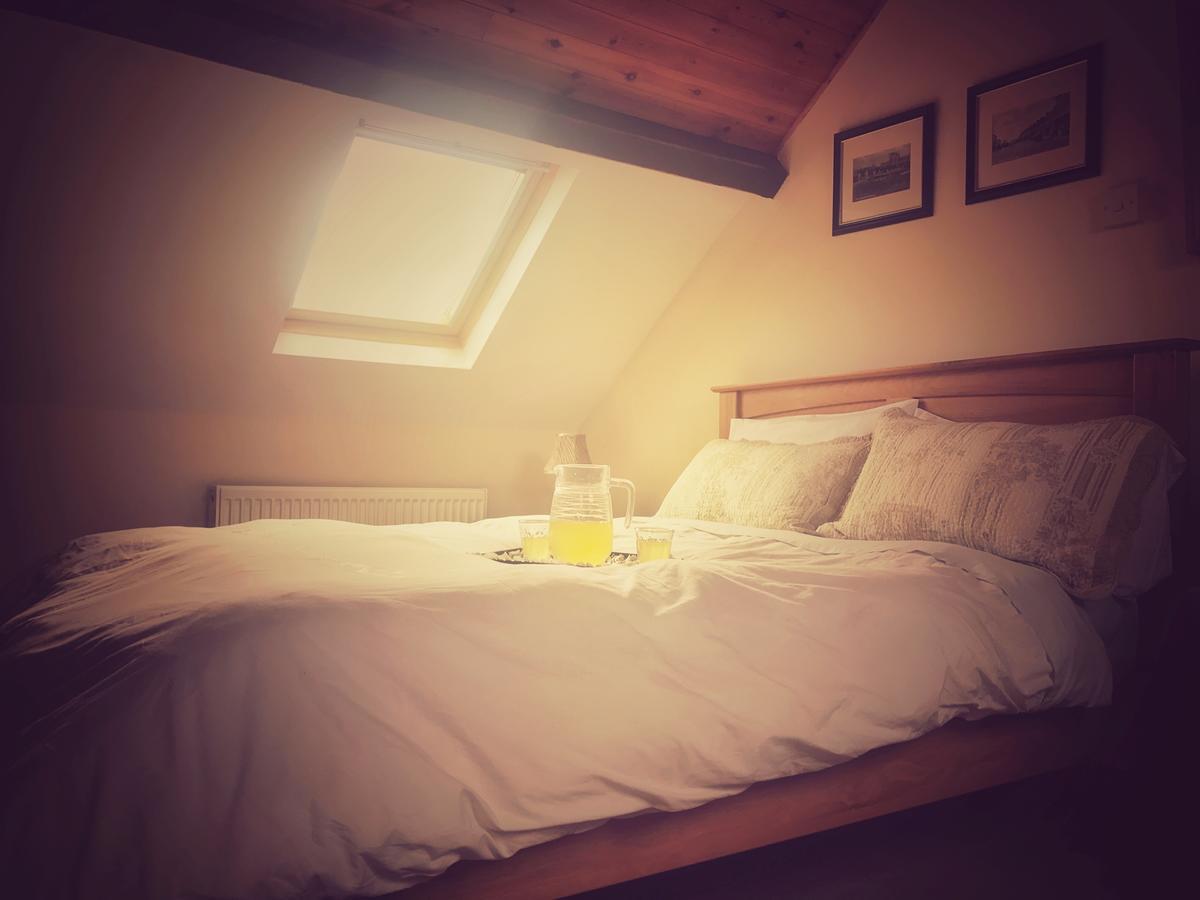 Mcmahon Guesthouse Listowel Zewnętrze zdjęcie
